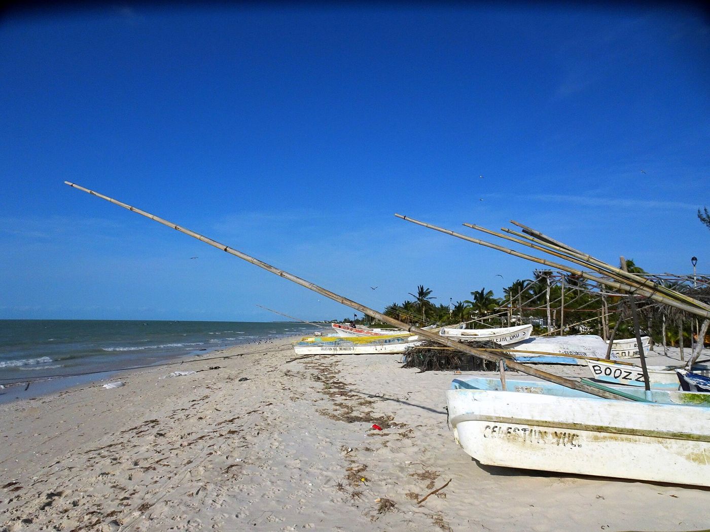 Boats on the beach at Celestún, Yucatán