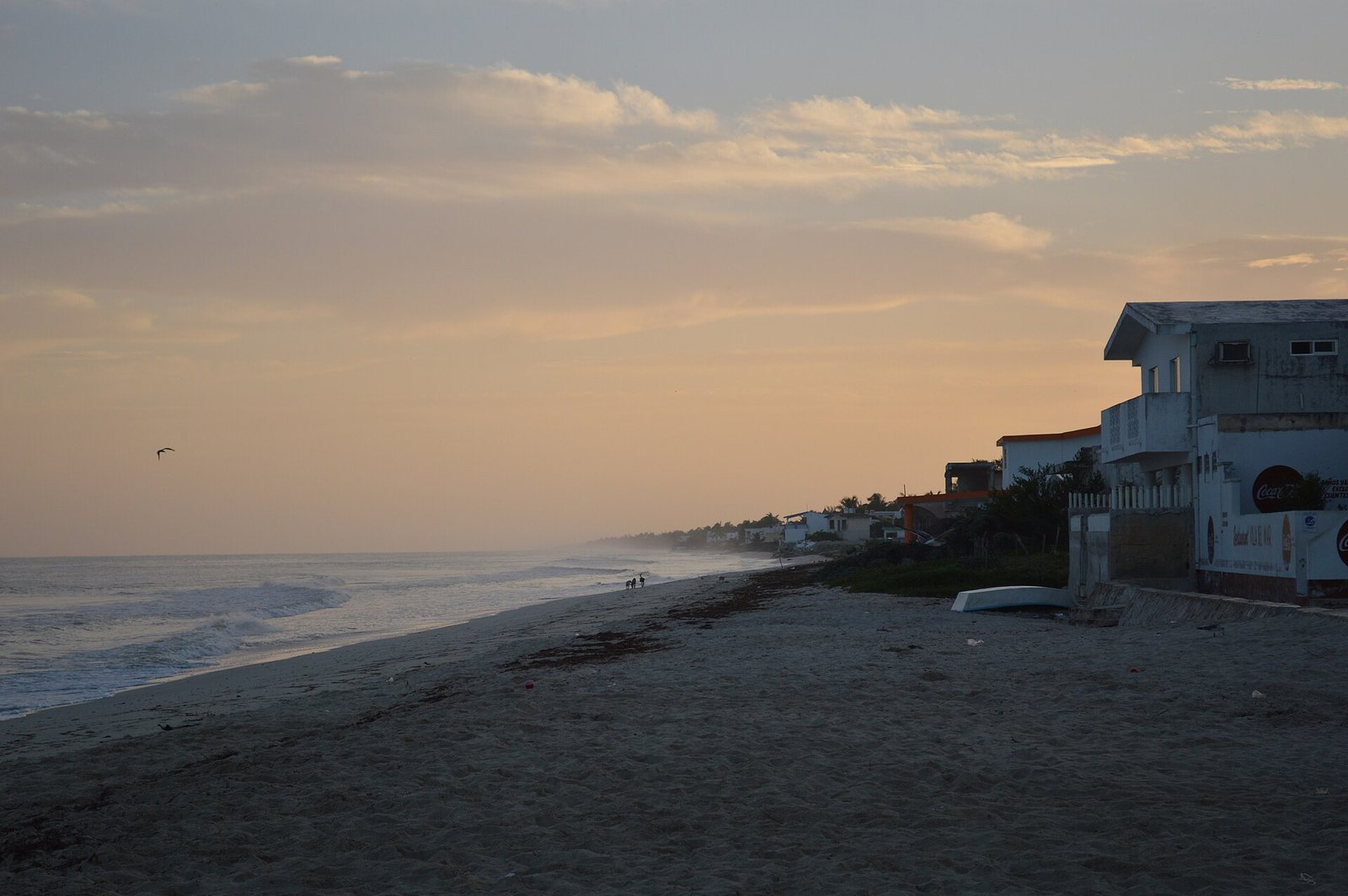 Telchac Puerto beach at dusk looking east from the pier, with beach houses along the sand