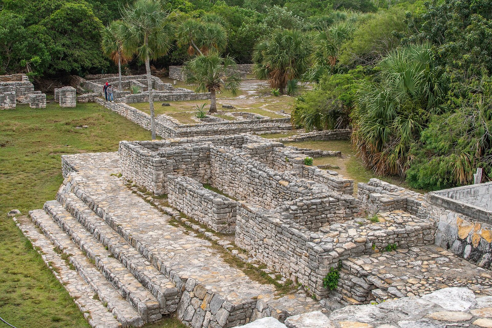 Stone platforms and stairways of the Maya site of Xcambó surrounded by palms
